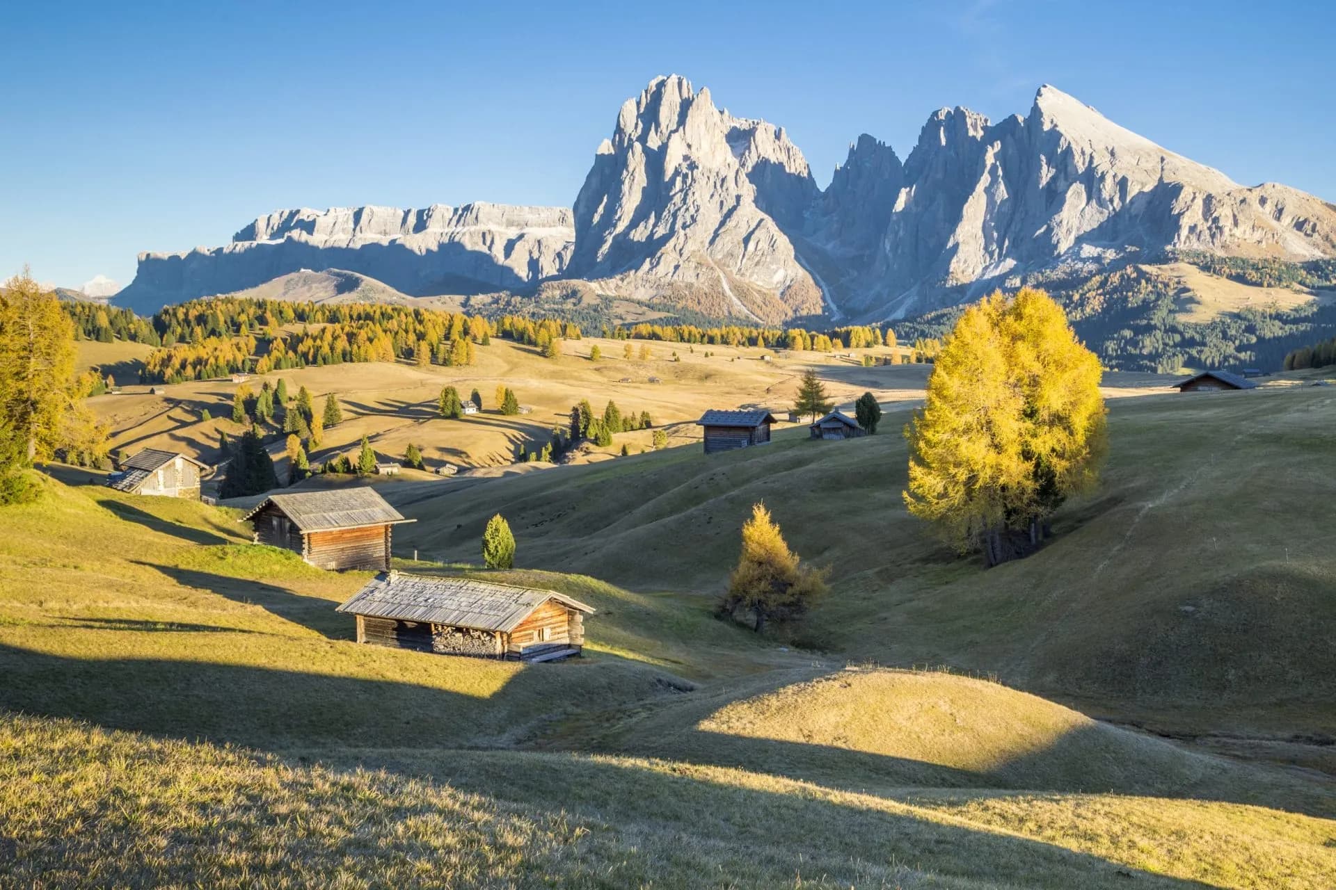 Alpe di Siusi with jagged mountain peaks, rolling autumn meadows, and wooden huts under a clear blue sky.