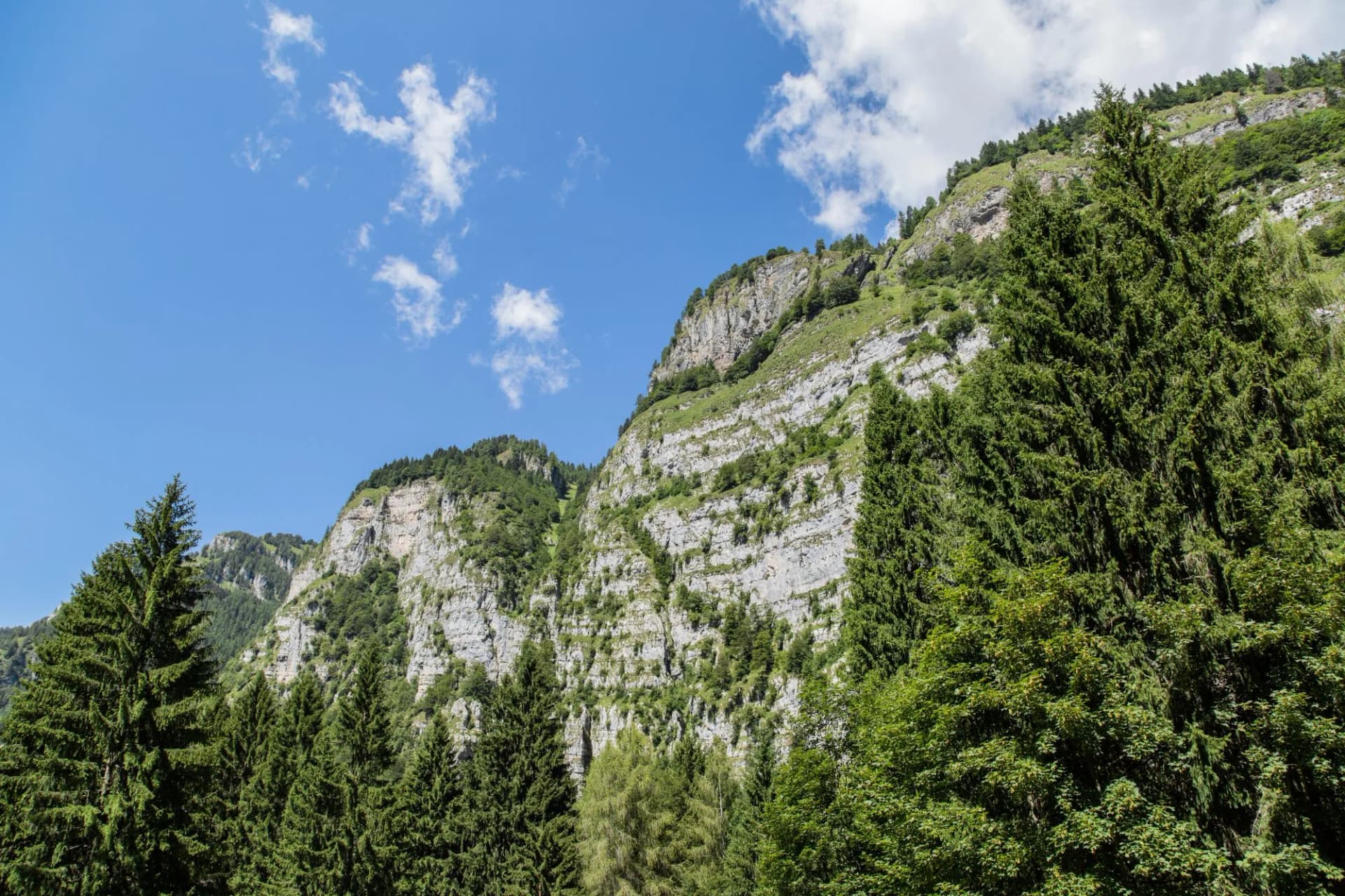 Rocky mountain slope with layered strata, green trees, and blue sky near Rifugio Furio Bianchet.