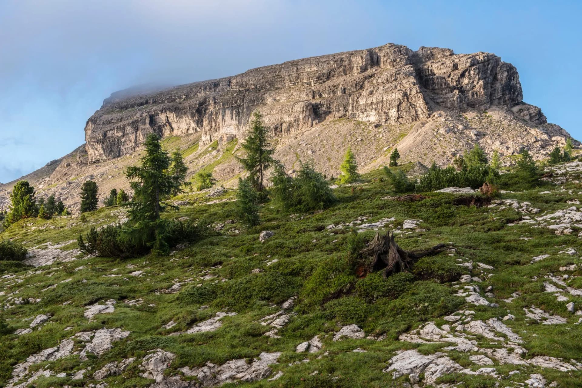 Rocky mountain slope with green shrubs and trees below a massive cliff face near Falzarego Pass.