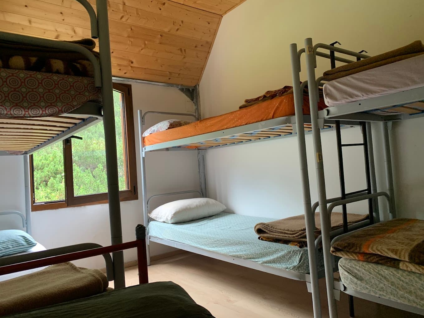 Bunk beds in a simple room with wood-paneled ceiling and a window showing green trees.