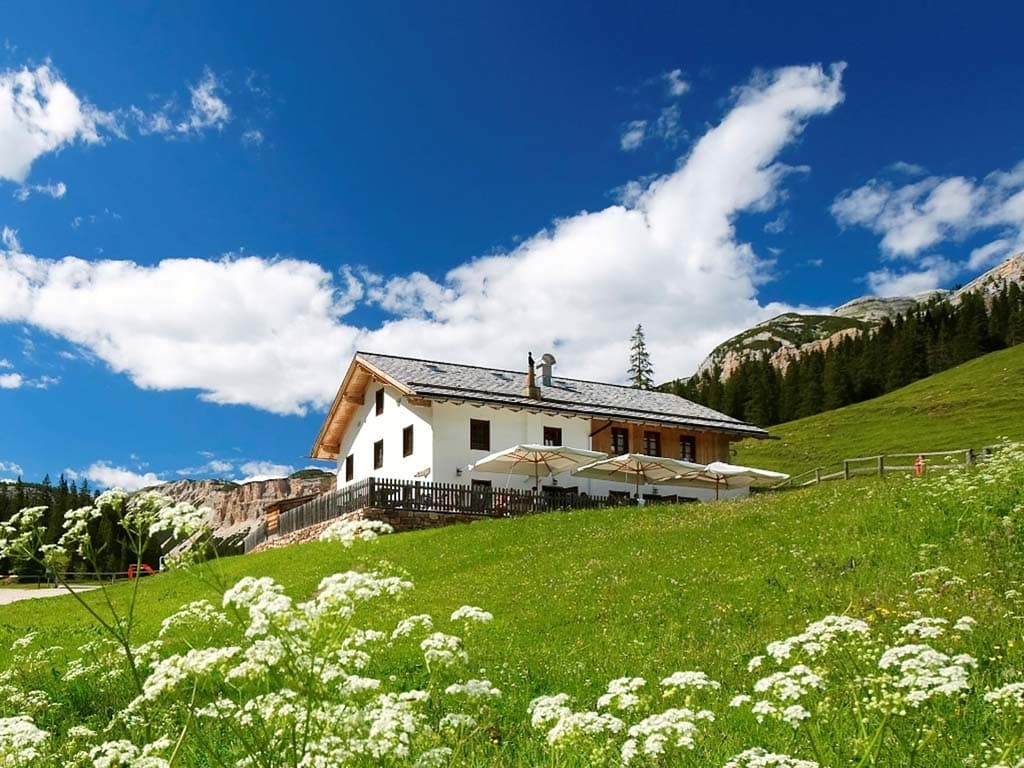 Rifugio Malga Ra Stua alpine hut on sunny green hillside with wildflowers and mountains