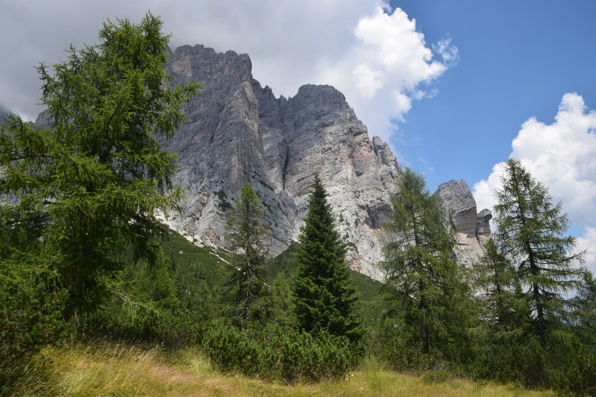 Dolomiti Bellunesi - Monte Pelmo