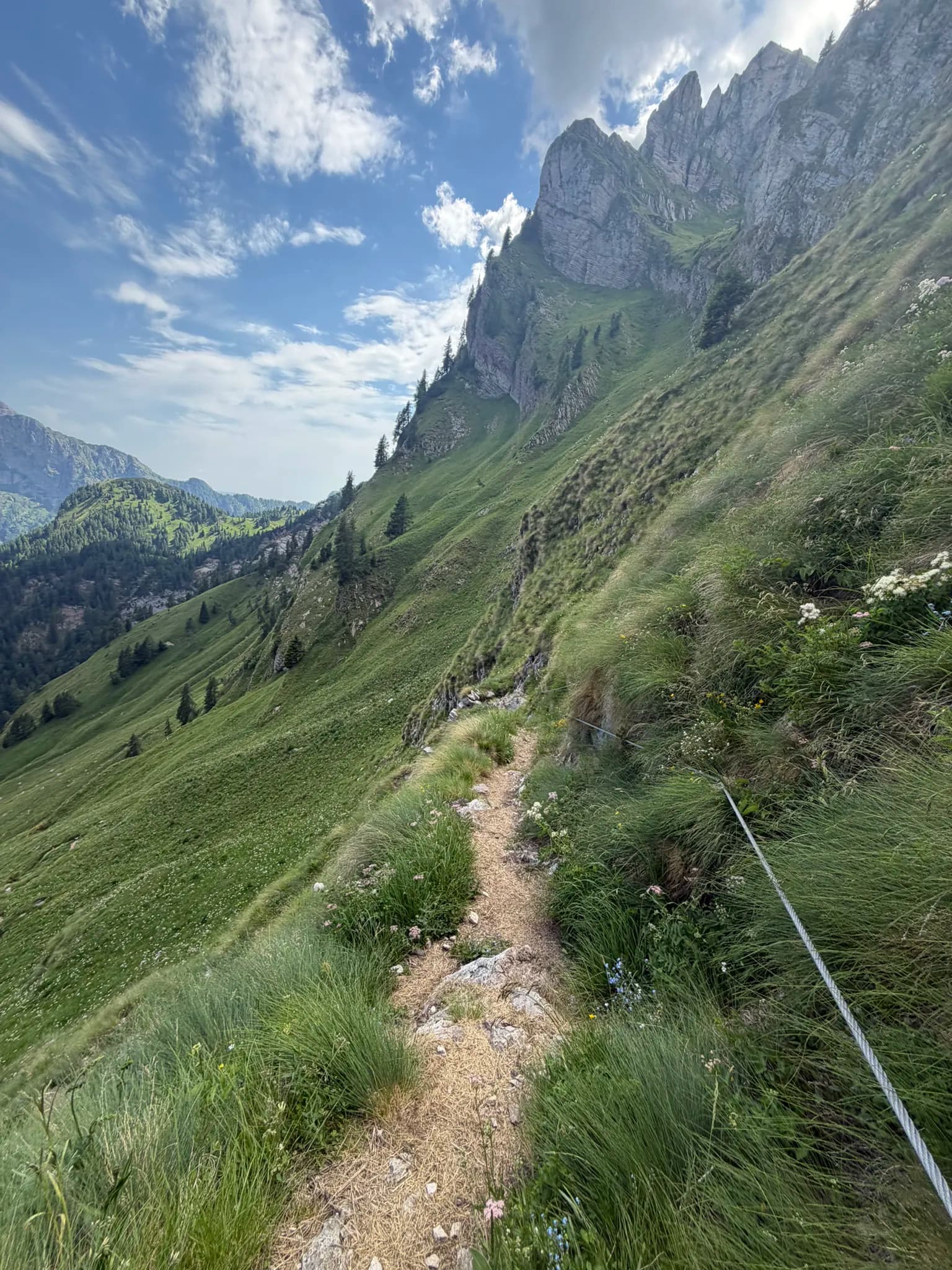 Narrow hiking trail with a safety cable along a steep green alpine mountainside.