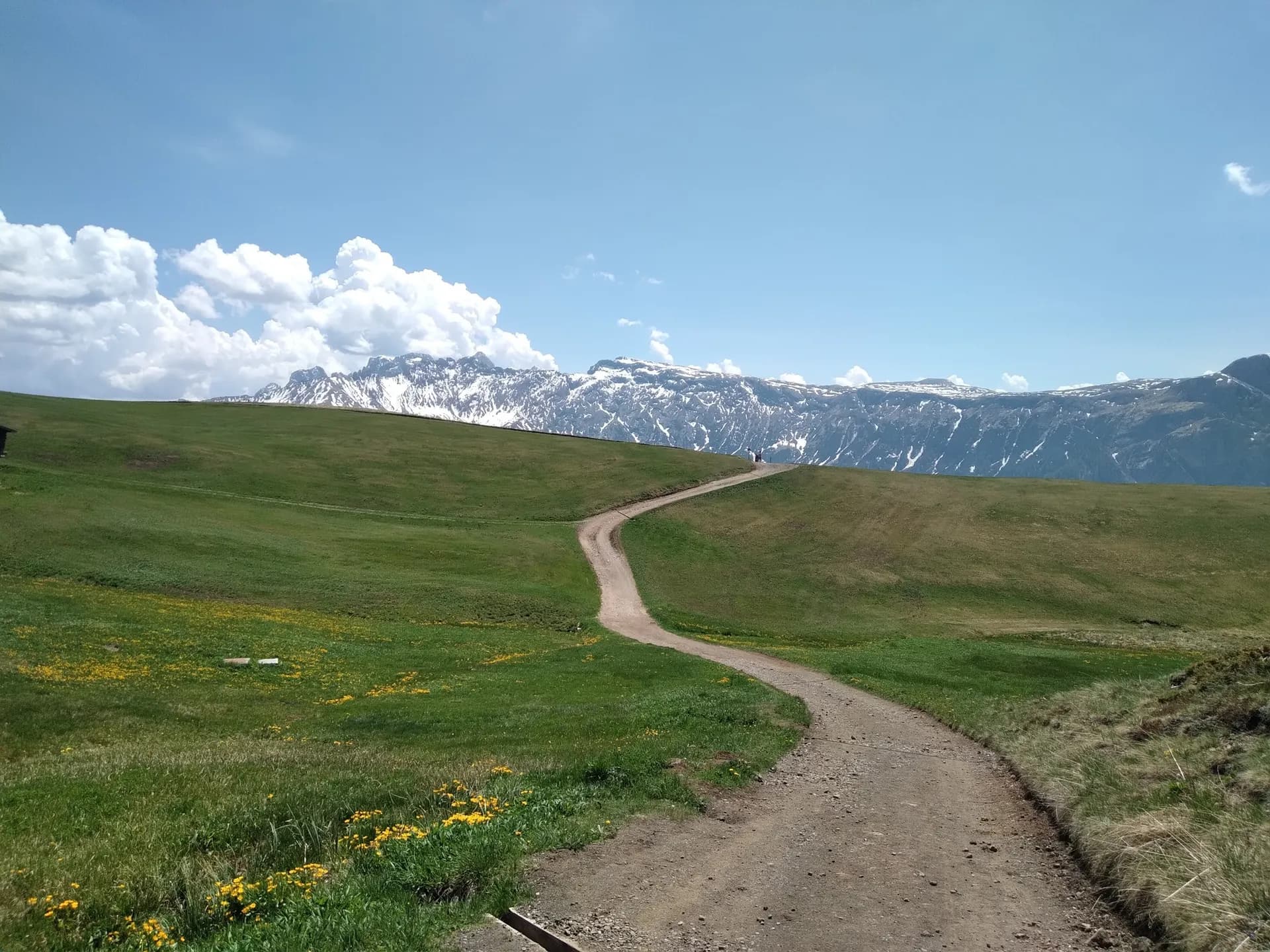 Dirt path winding through green meadows toward snow-capped mountains at Seiser Alm.