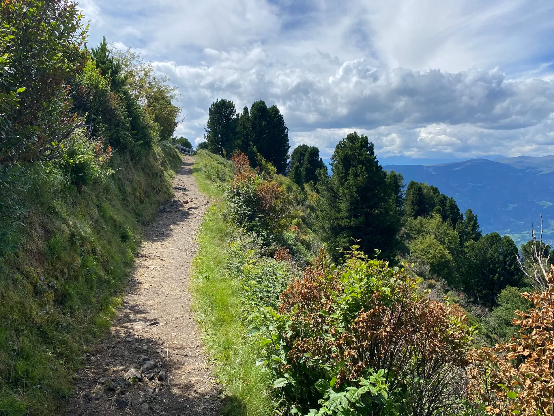 Hiking trail on Seiser Alm with pine trees, green vegetation, and distant mountain views.