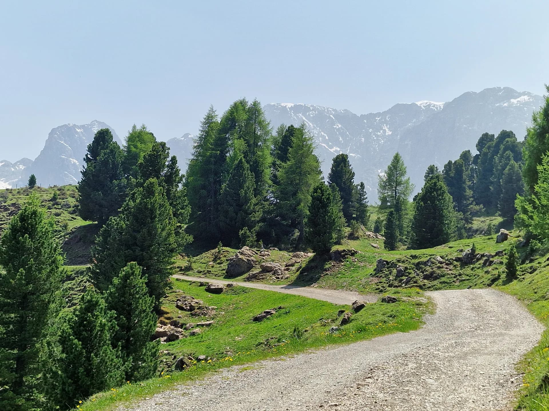 Gravel path winding through green meadows and pine trees with Seiser Alm mountain peaks in the background.