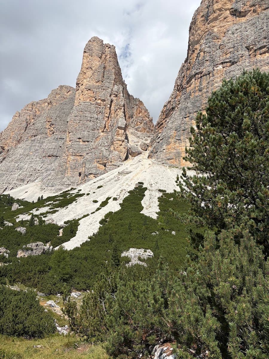 Rugged mountain peaks with rocky cliffs and pine trees in foreground