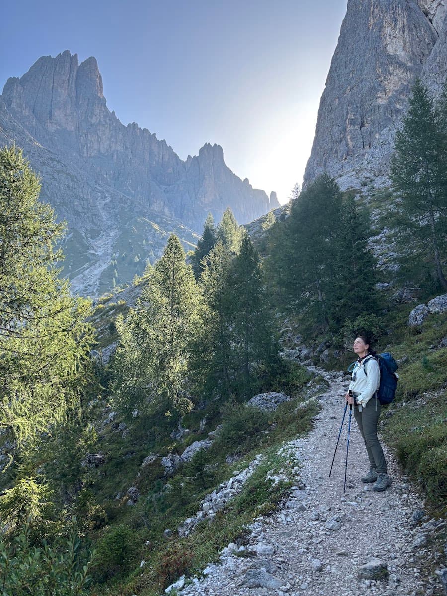 Hiker on a mountain trail with trekking poles and backpack amidst alpine peaks and pine trees