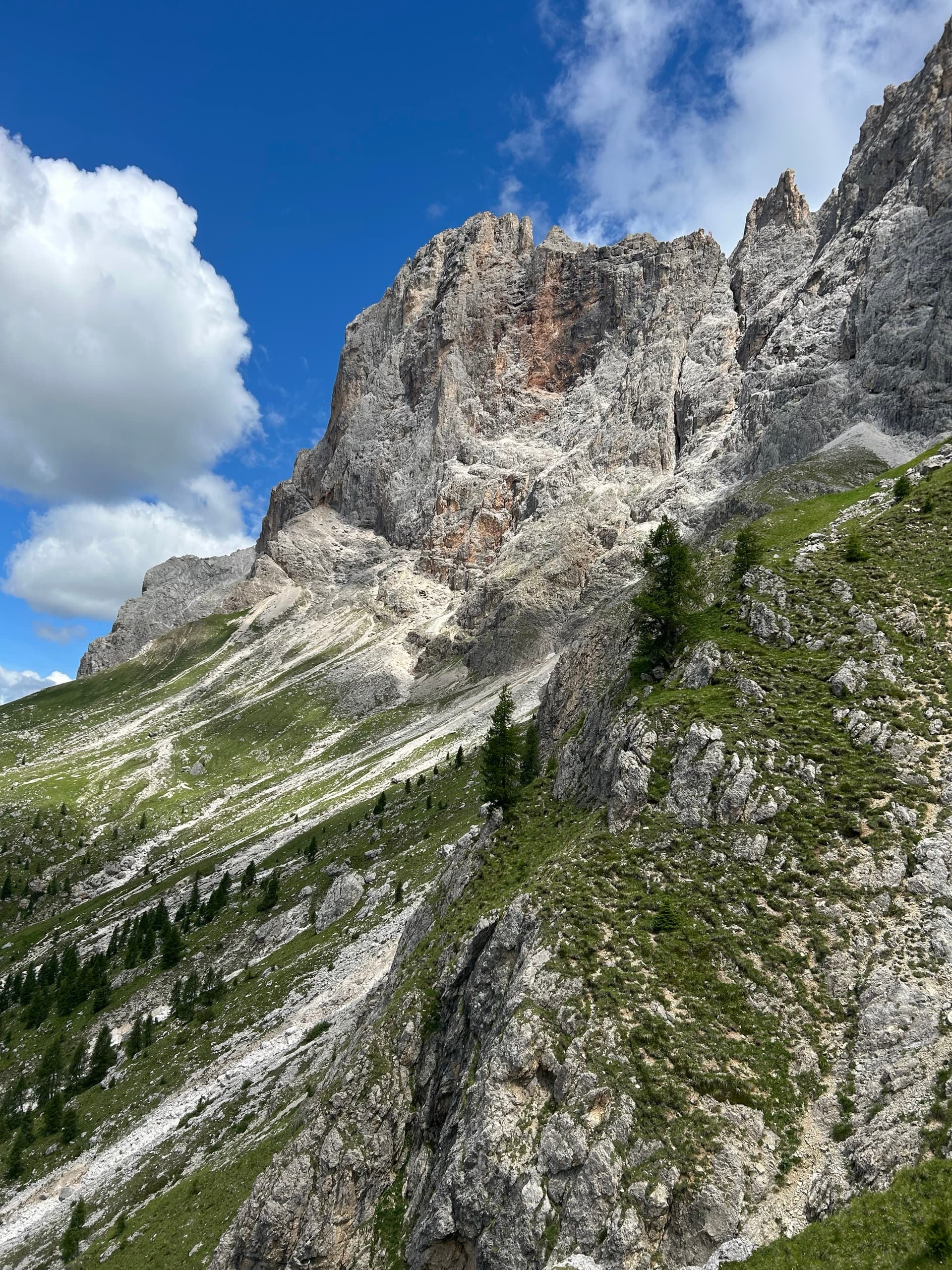 Towering pale rocky mountain peaks above sloping green hills and scattered larch trees under a blue sky with white clouds.