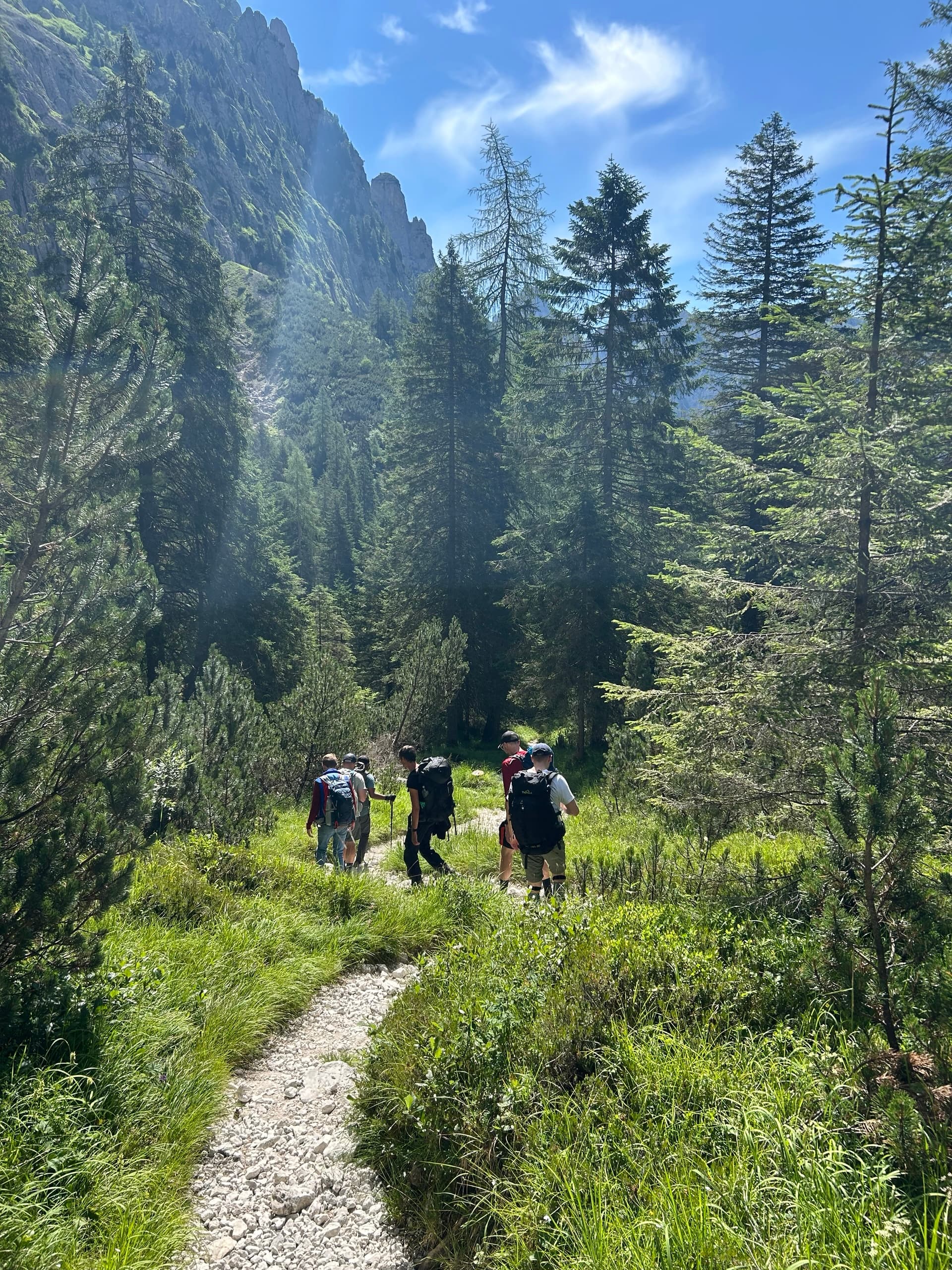 Hikers on a rocky forest path through pine trees and mountain slopes