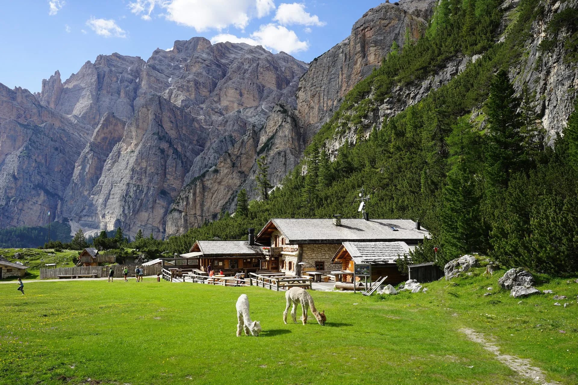 Two alpacas graze on a green pasture near a mountain hut below steep, rocky alpine cliffs.