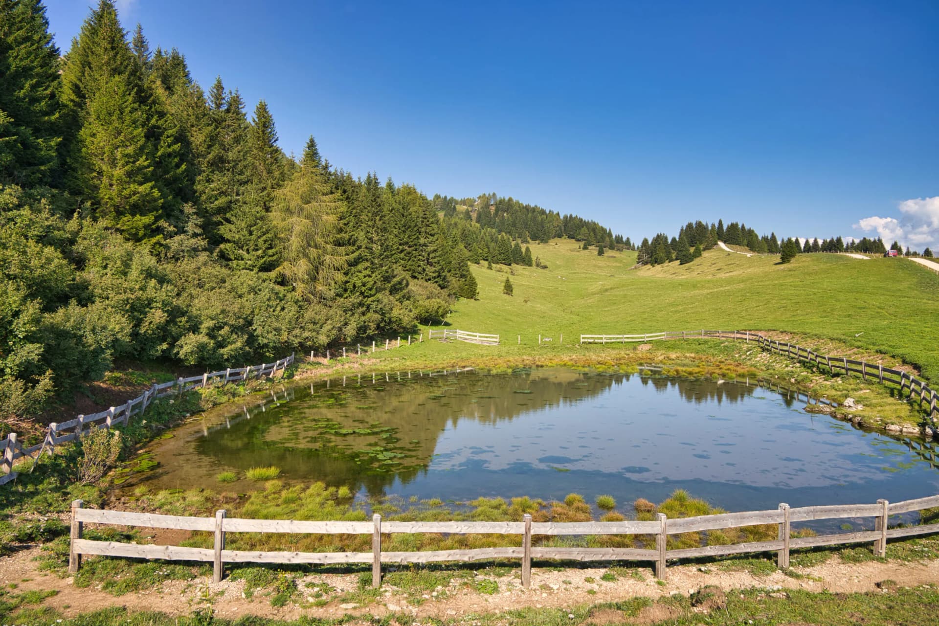 Alpine pond near Rifugio Peller with wooden fence, green slopes, and pine forest under blue sky.