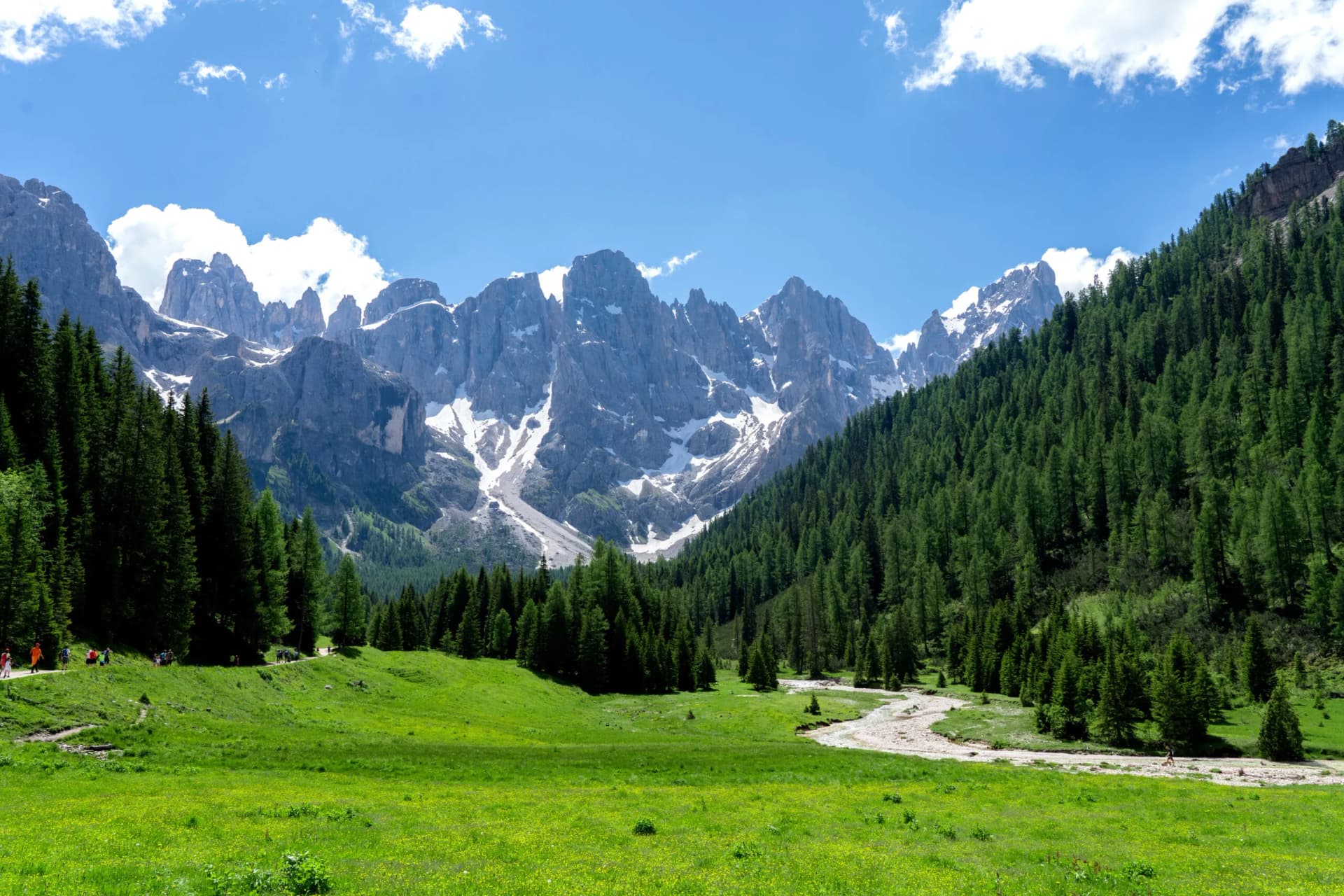 Summer landscape in Pale di San Martino with jagged peaks, green meadow, and hikers.