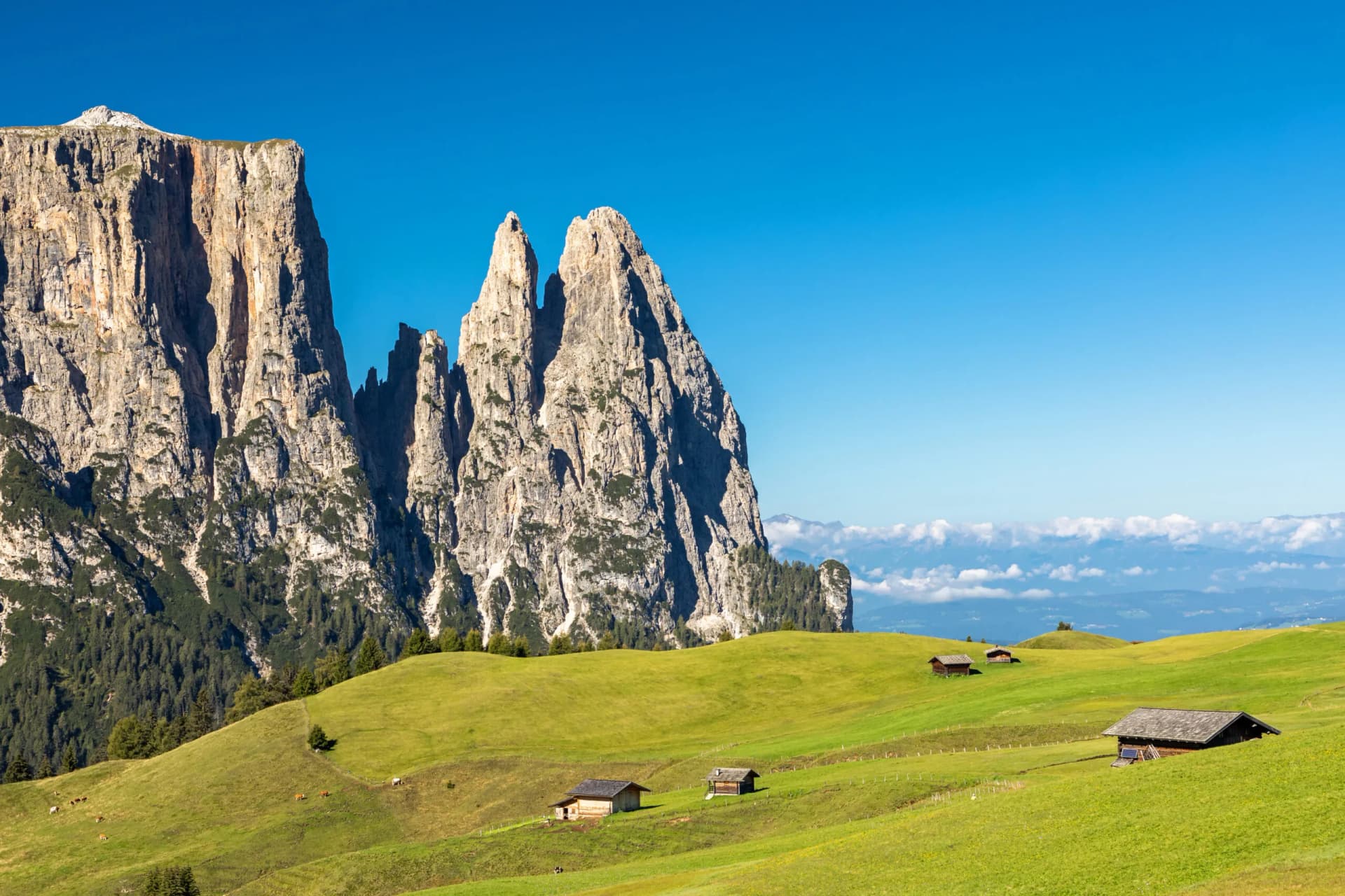 Alpe di Siusi alpine landscape with steep rock faces, green meadows, and wooden huts under blue sky.