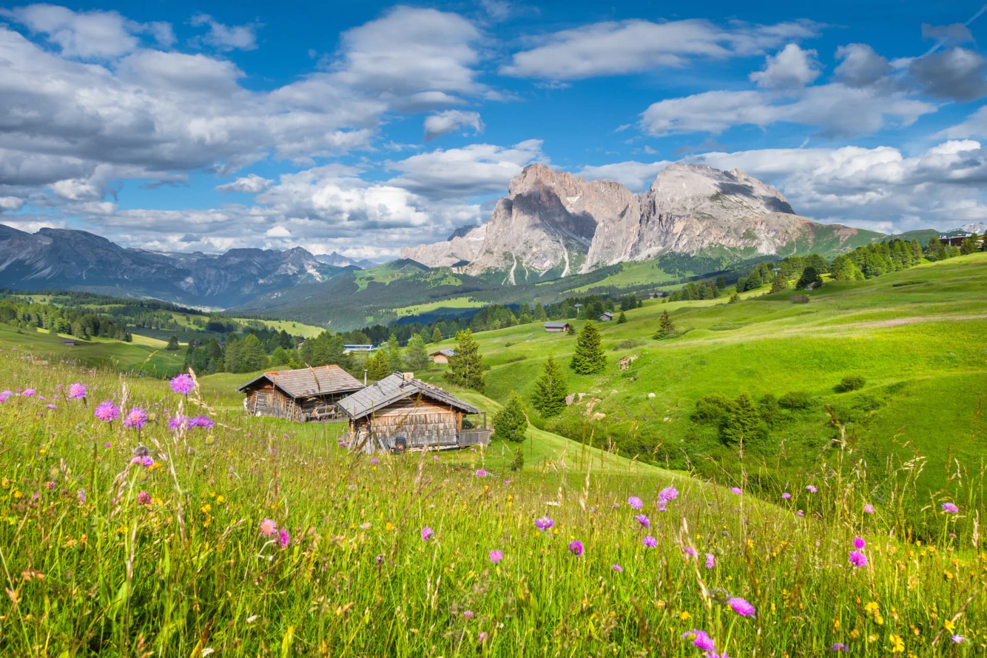Green meadows with wildflowers, wooden huts, and towering mountains on Seiser Alm.