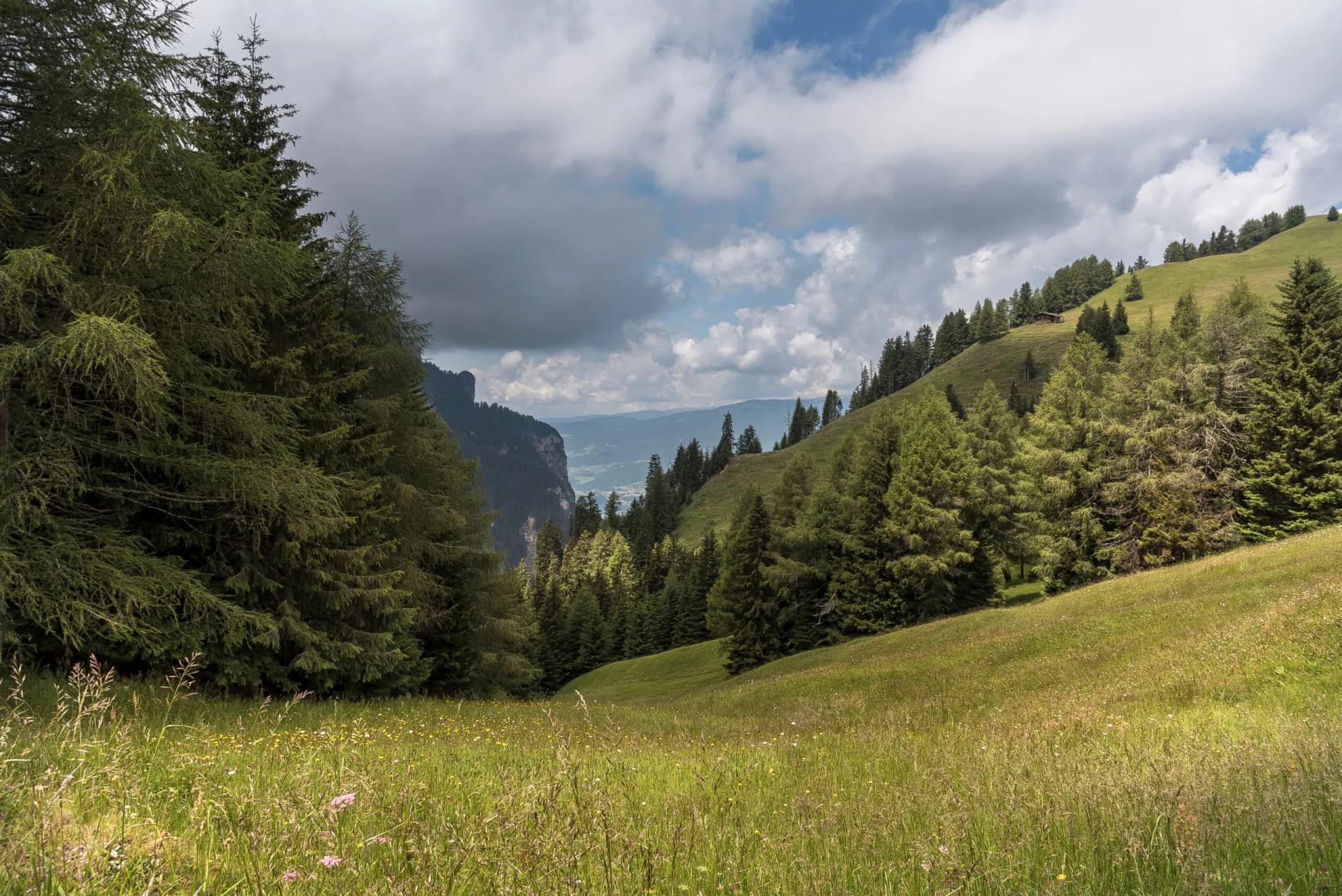 Grassy meadow leading into a valley between pine-covered slopes under a cloudy sky, Seiser Alm.