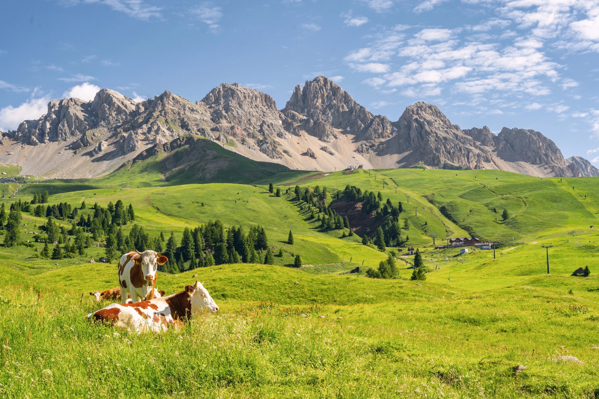 Paesaggio scenico con animale su campo di pascolo