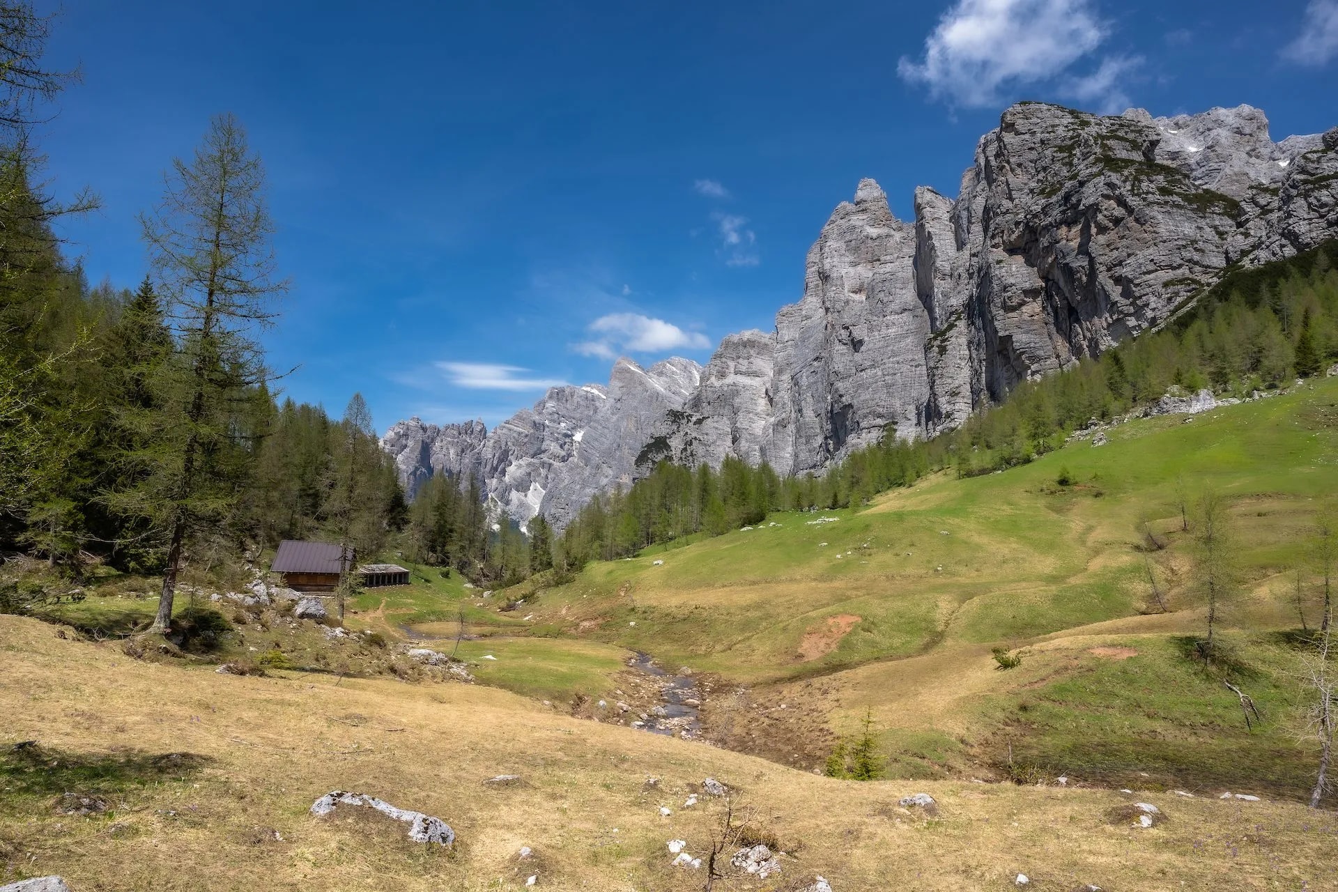 Alpine valley with steep rock faces, green slopes, a stream, and a small wooden hut near Forcella Camp Passo Duran.