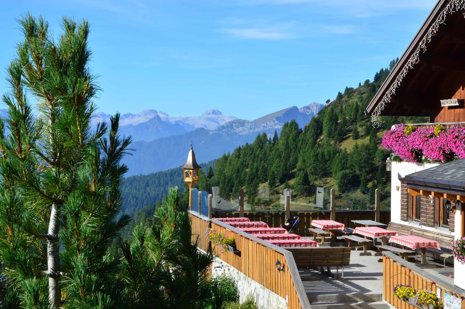 Outdoor dining terrace at Rifugio Fedare with mountain views and pine trees.