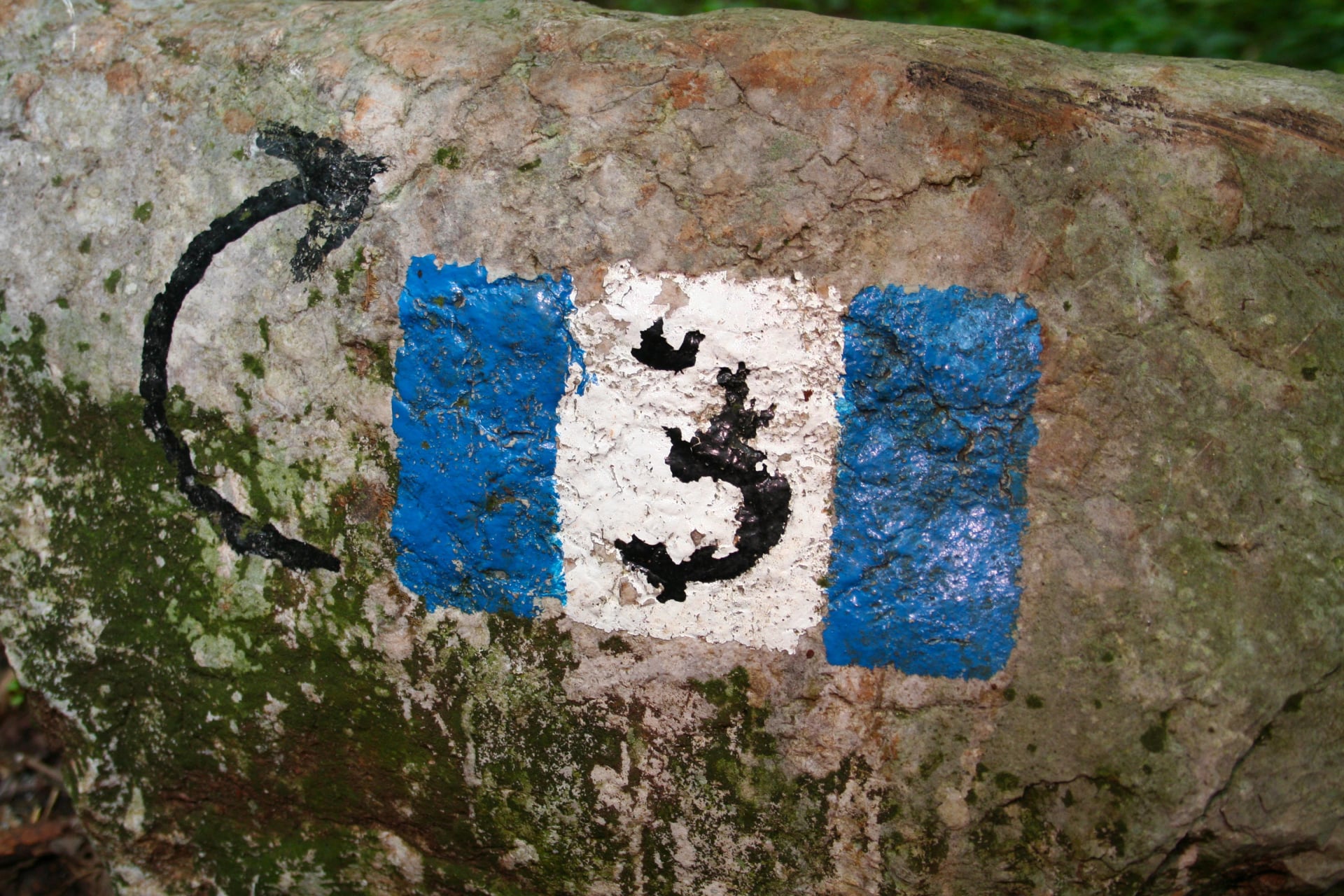 Path track number alta via 2