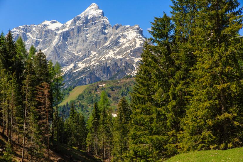 Passo Staulanza image 1