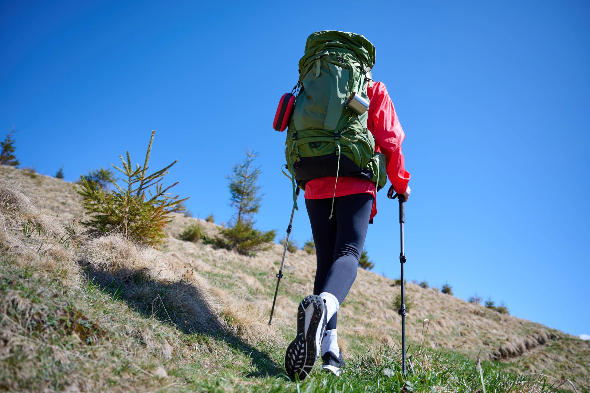 Female hiker with backpack and trekking poles walking in the mountains. Adventure lifestyle in nature. Active woman exploring forest trails on a sunny day.