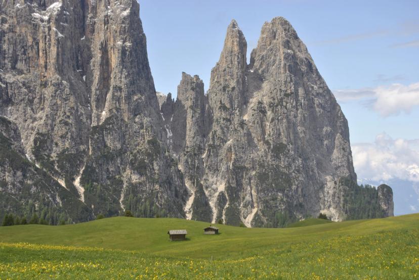 June – Wildflowers and Awakening Trails image 1