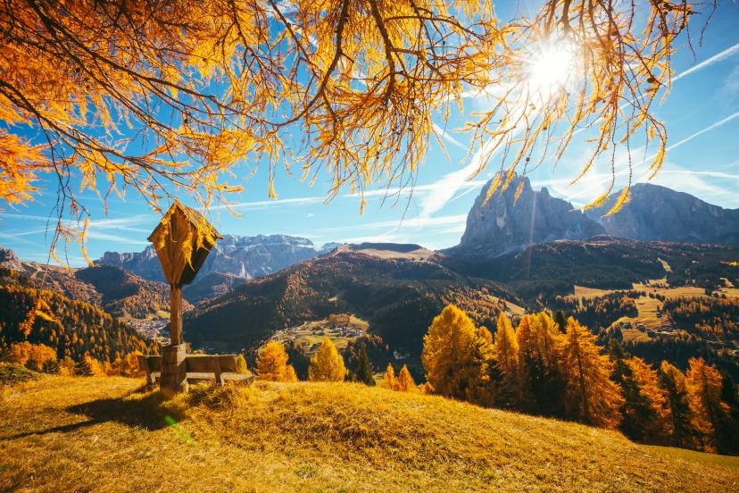 October – Last Month of The Season image 1