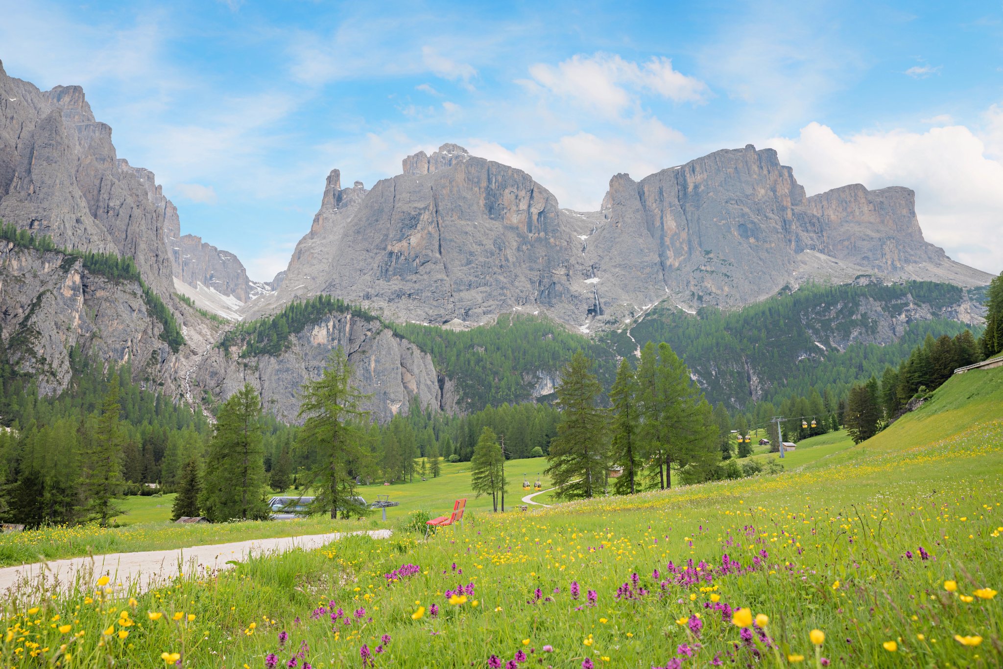 vidunderligt forårslandskab med vilde orkideer, colfosco dolomitterne alper