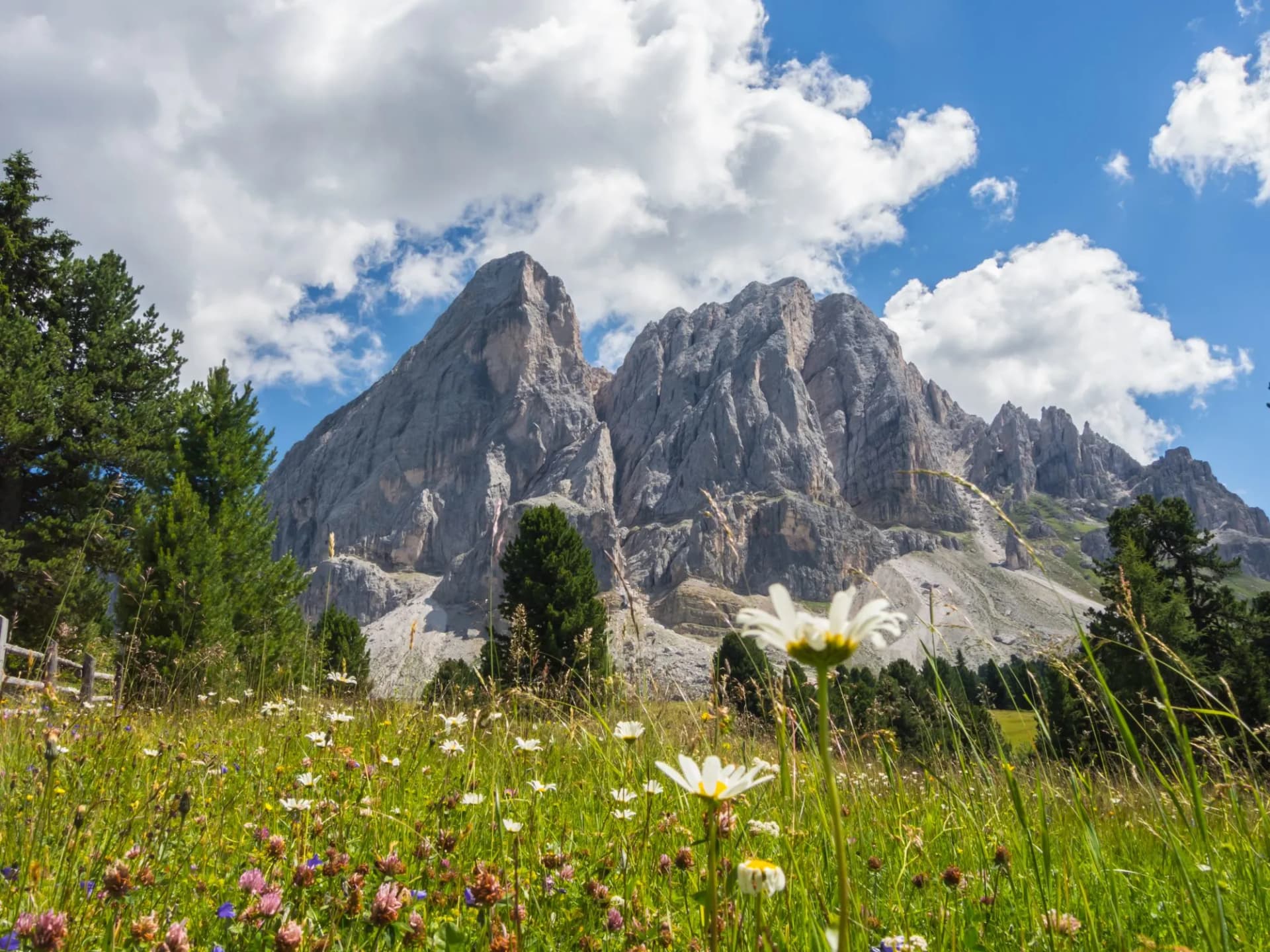 Sass de Putia, Passo delle Erbe plateau, Alta Badia, Sud Tirol, Italy
