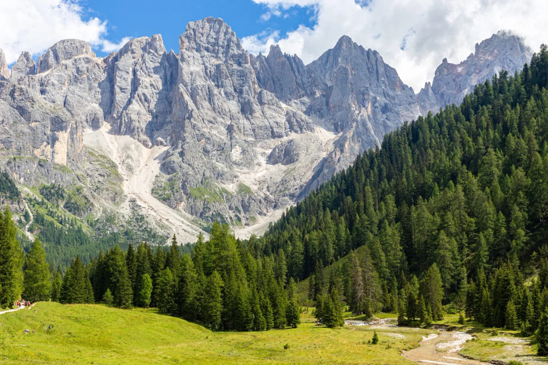 Rugged Dolomite mountains above green forest, meadow, and stream in Val Venegia, Italy.