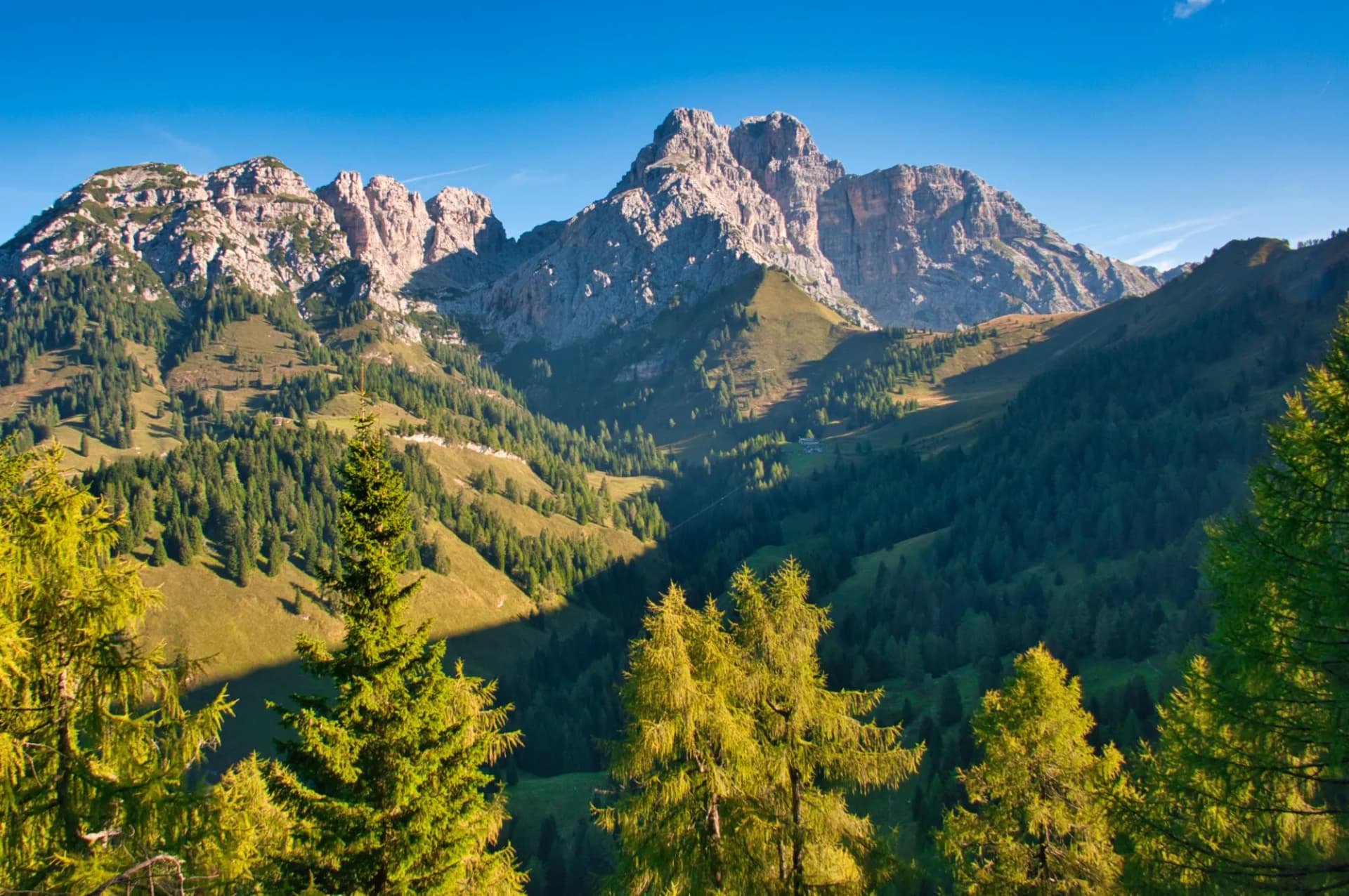 View back toward Rifugio Boz showing rocky peaks, green slopes, and pine forest under a blue sky.