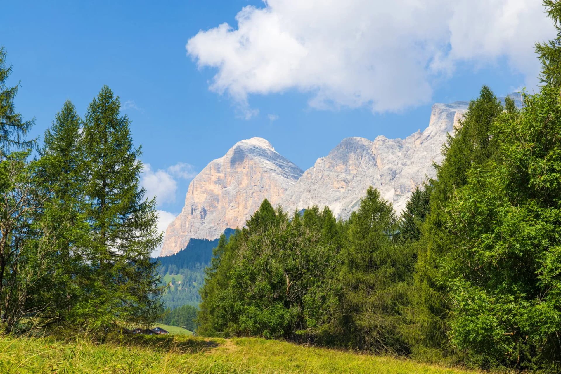 Walking near Cortina d'Ampezzo - Italy