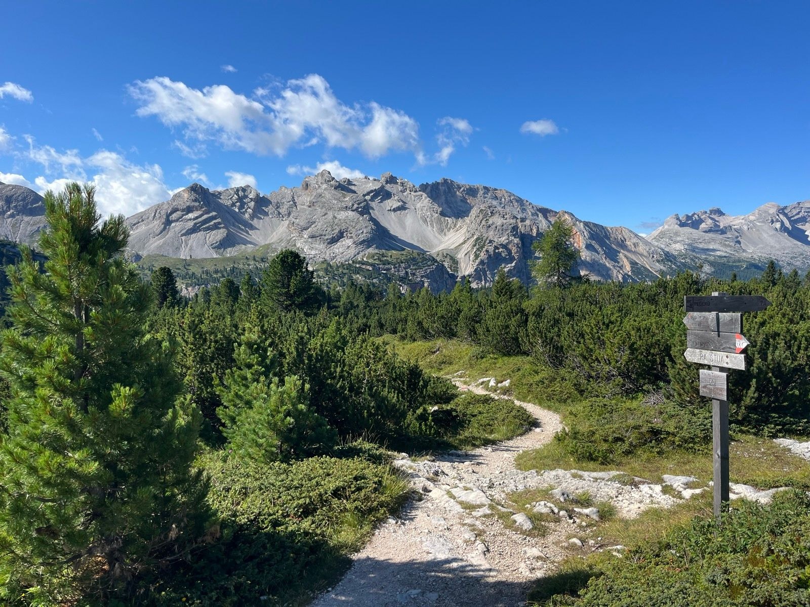 Hiking trail with wooden signpost leading toward alpine mountains in Pederu, Fodara Vedla.