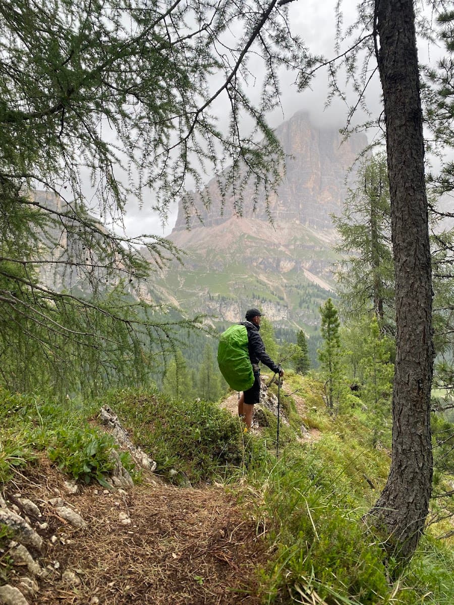 Hiker with green backpack on a mountain trail with rocky peaks and pine forest
