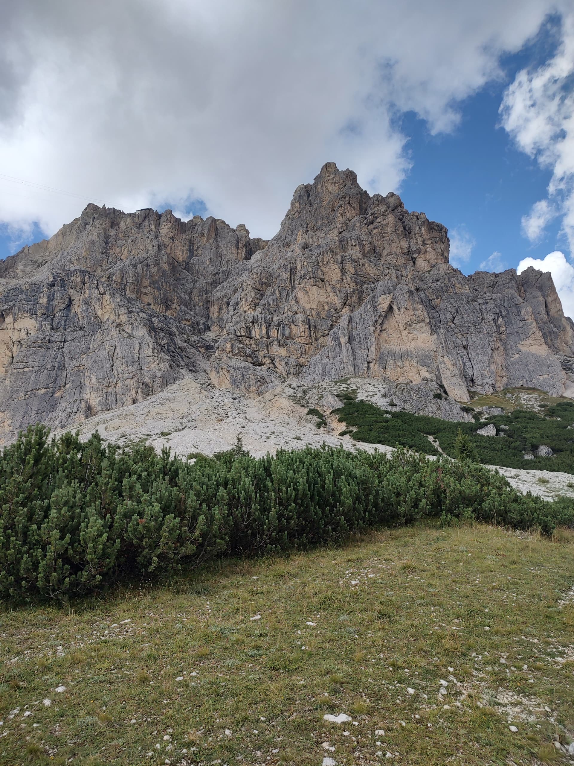 Dolomites mountain peaks towering above a green meadow and pine trees