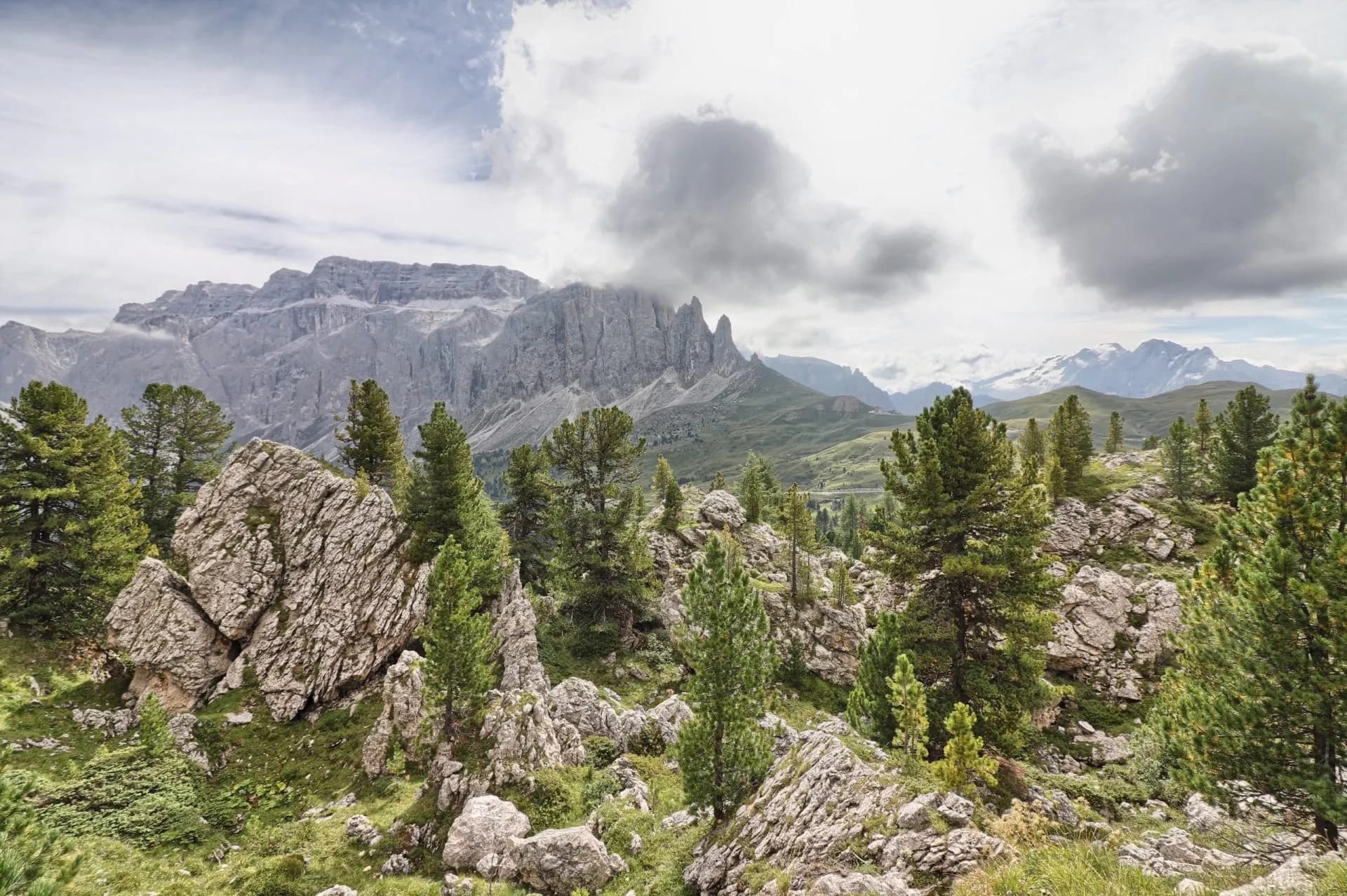 Rocky alpine terrain with pine trees and jagged mountains under a cloudy sky, Citta dei Sassi.
