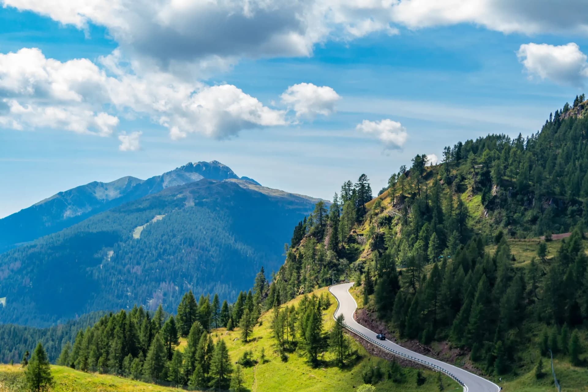 Winding mountain road through pine forests under a blue sky with white clouds