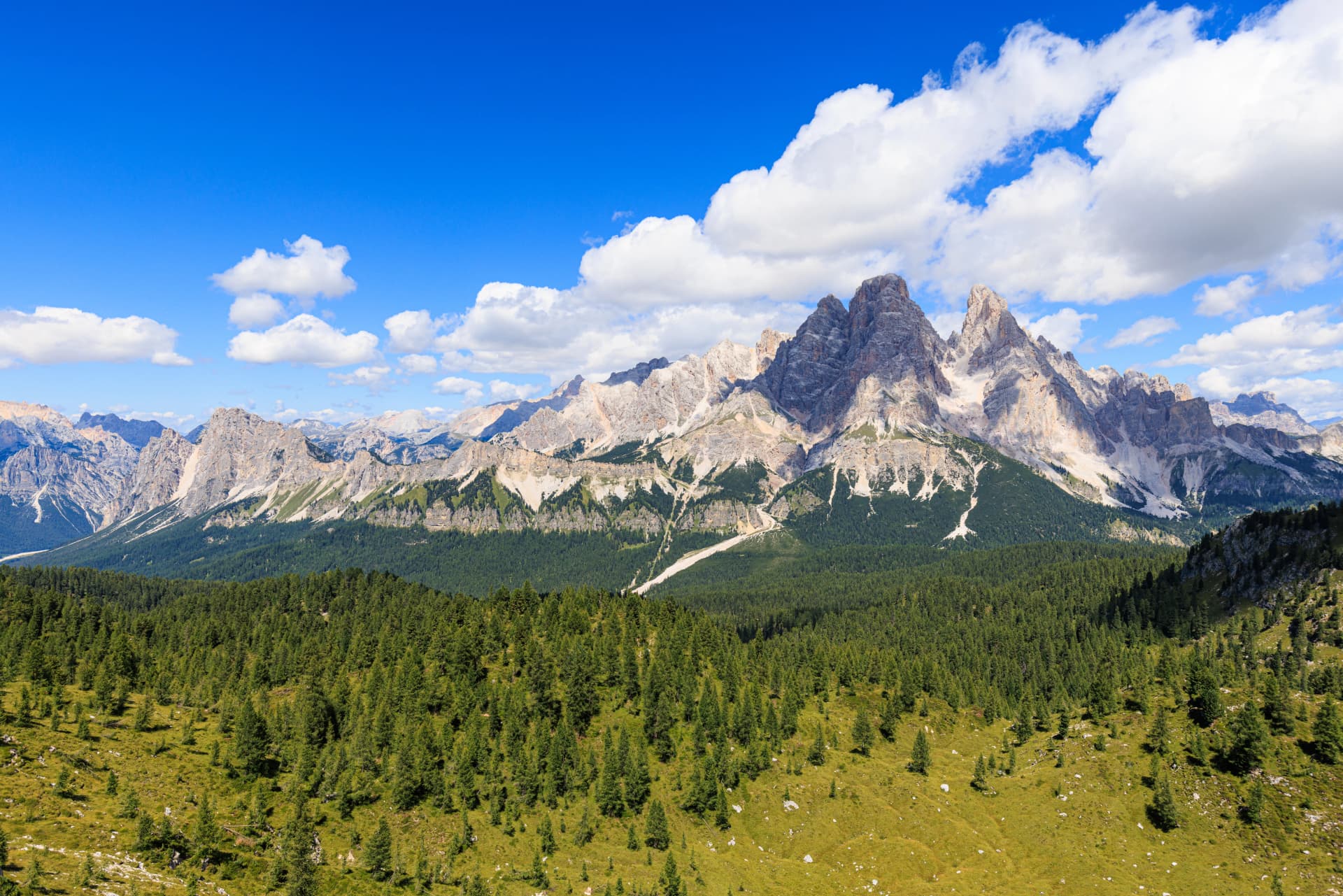 Rugged Dolomite mountains above green forest slopes under a bright blue sky with white clouds.