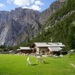 Mountain hut pasture