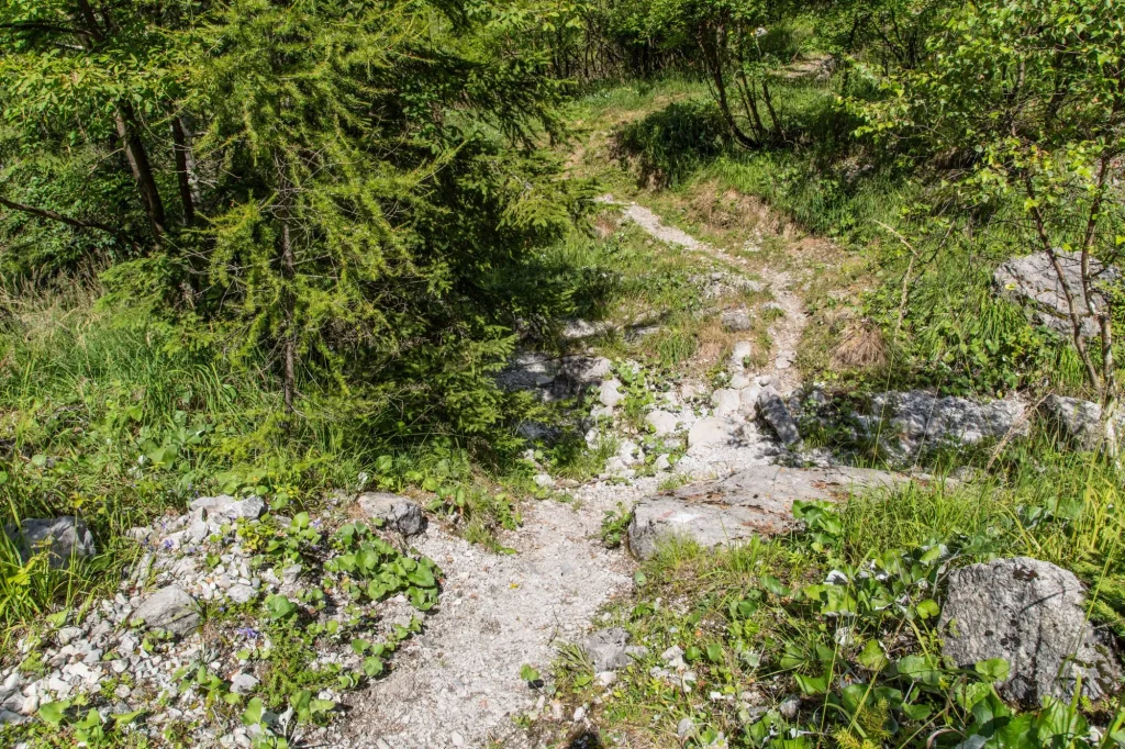 Mountain path and landscape above the Furio Bianchet refuge in the Vescova valley, Belluno Dolomites