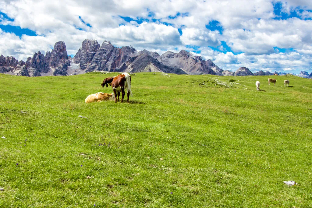 Prato Piazza, famous plateau in the Dolomites, in South Tyrol, Italy