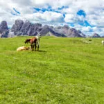 Prato Piazza, famous plateau in the Dolomites, in South Tyrol, Italy