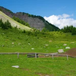 A path in the middle of a mountain green meadow