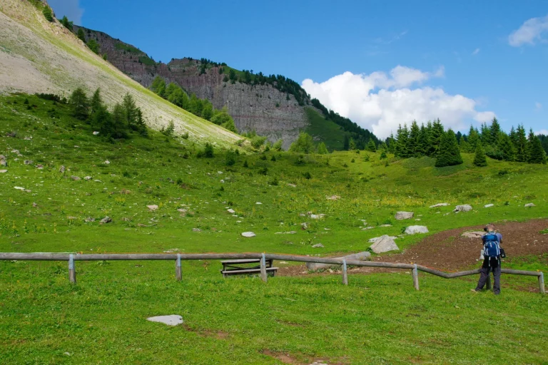 Ein Pfad inmitten einer grünen Bergwiese