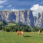 Seiser Alm mit dem Schlern,Südtirol,Italia