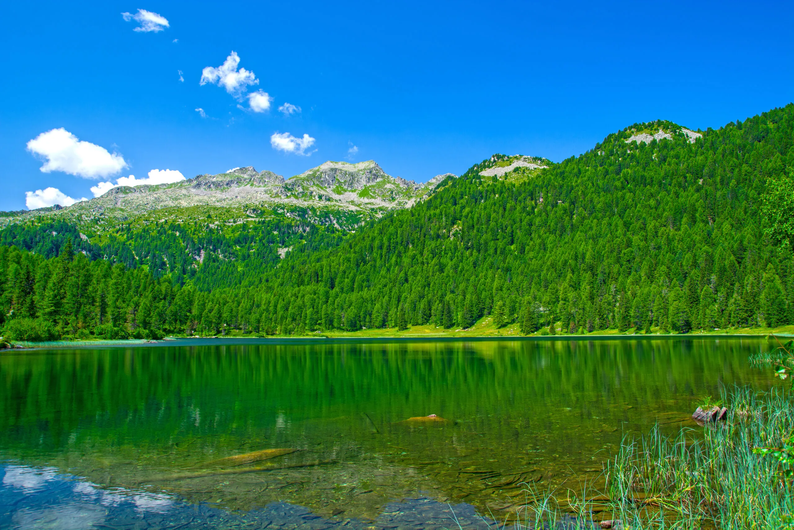 Malghette lake in  Trentino province, Italy