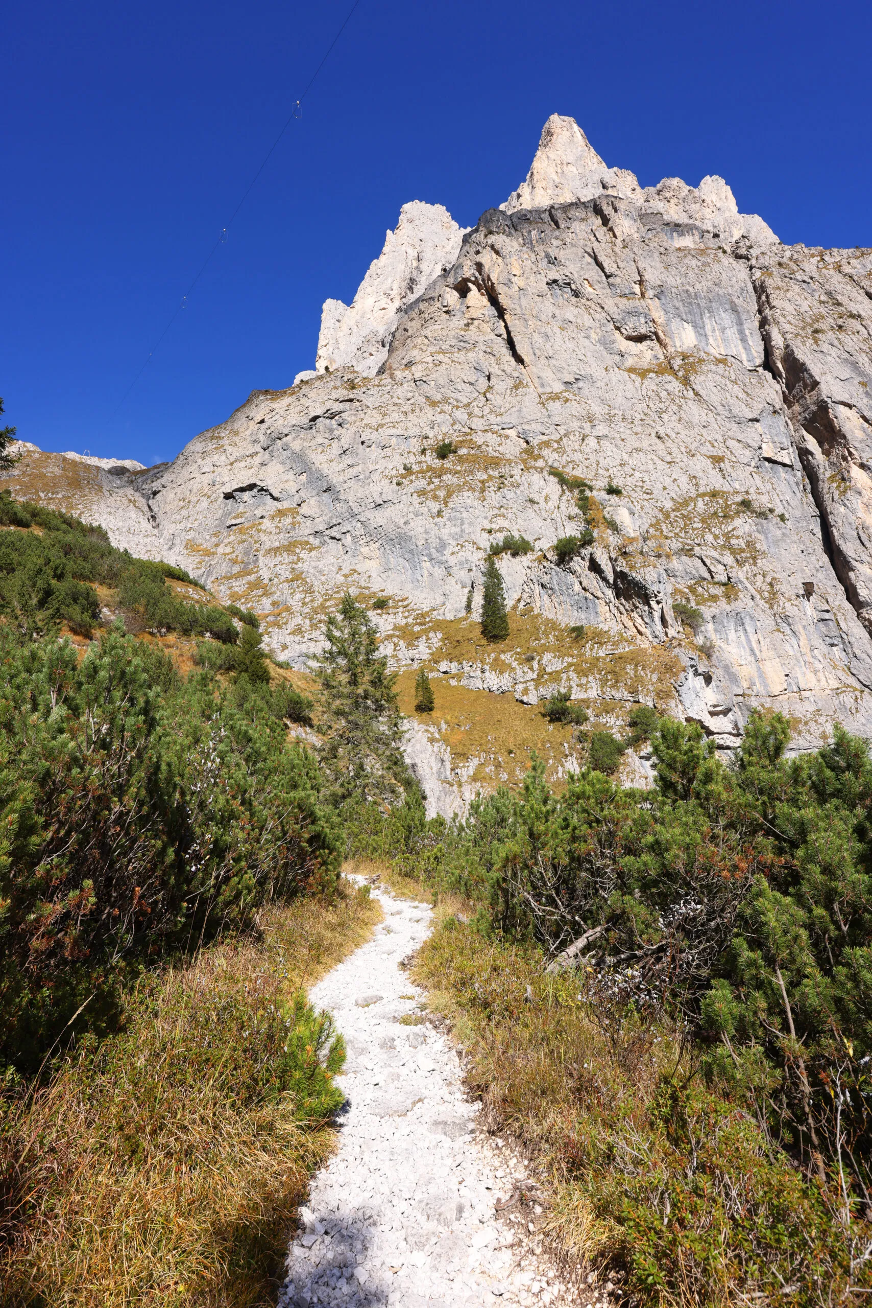 Höstlandskap i Pradidali-dalen i Dolomiterna, Italien, Europa
