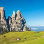 Auf der Seiser Alm, Alpe di Siusi, mit Blick auf den Schlern, Schlern, Südtirol