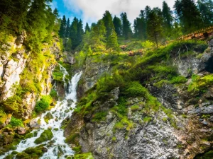 Vallesinella-vattenfallet i skogen i den italienska nationalparken Trentino